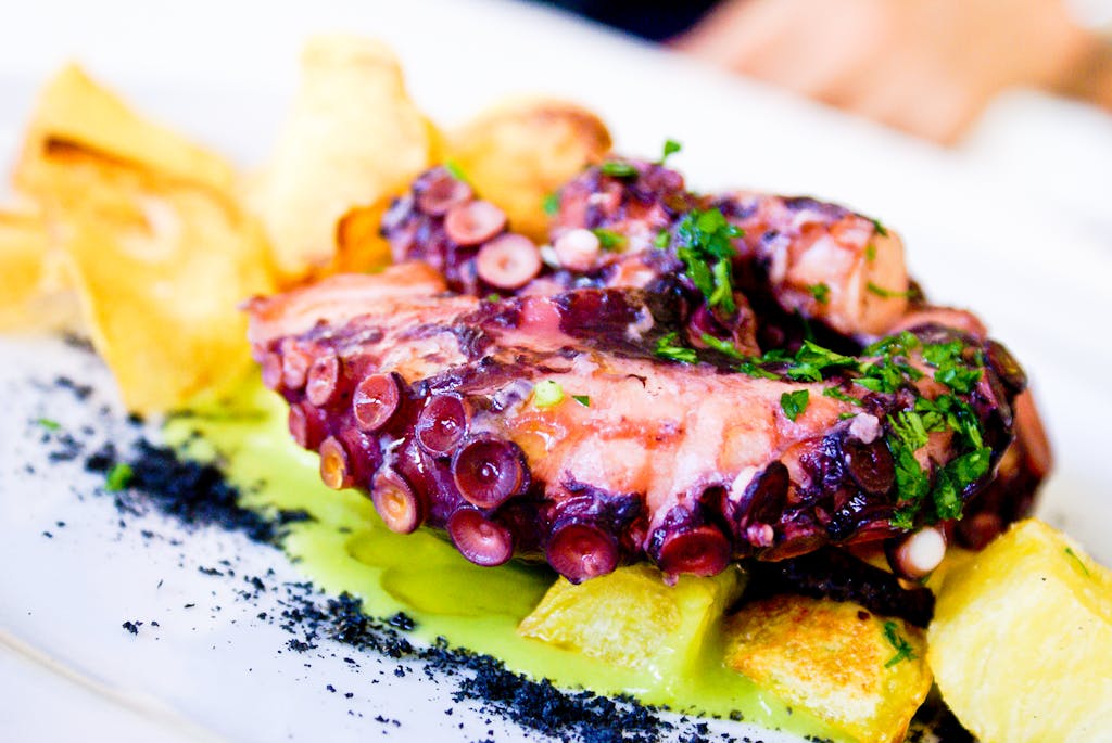 Close-up of a grilled octopus dish garnished with herbs and served with potatoes.